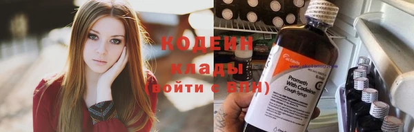 ПСИЛОЦИБИНОВЫЕ ГРИБЫ Алзамай