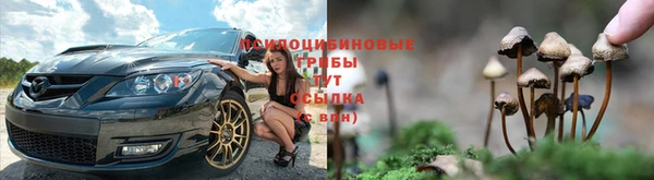 ПСИЛОЦИБИНОВЫЕ ГРИБЫ Алзамай