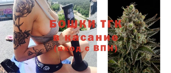 ПСИЛОЦИБИНОВЫЕ ГРИБЫ Алзамай