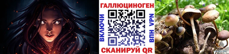 Псилоцибиновые грибы прущие грибы  цены наркотик  Опочка 
